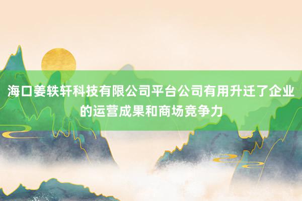 海口姜轶轩科技有限公司平台公司有用升迁了企业的运营成果和商场竞争力